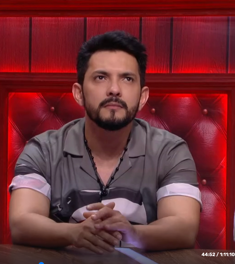 Aditya Narayan